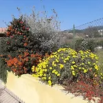 Casa Di Lory Sirolo