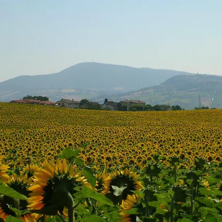Casa Di Lory דירה סירולו