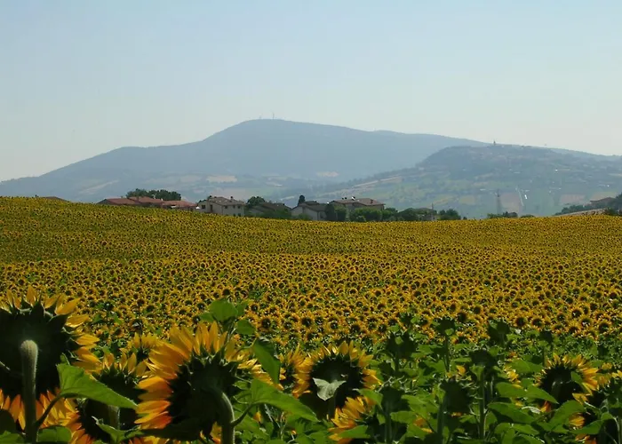 Casa Di Lory Appartement Sirolo